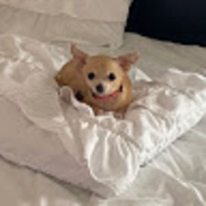 Meet your Posher, Anthony